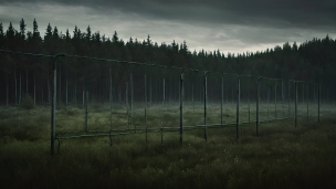 禁足地 / 暗い森 / 古びたフェンスのフリー素材・写真・画像