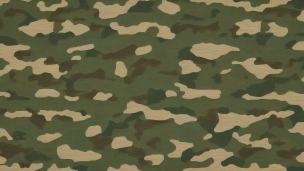 迷彩柄 / camouflageのフリー素材・写真・画像