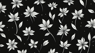 白い花 / 黒の背景 / アートのフリー素材・写真・画像