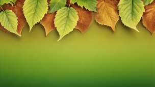 緑・茶色の葉っぱ / 緑のグラデーションのフリー素材・写真・画像
